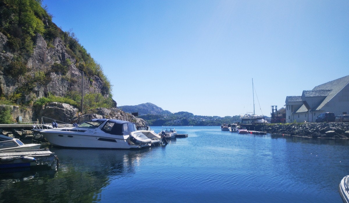 Rett ved byfjorden Galleribilde