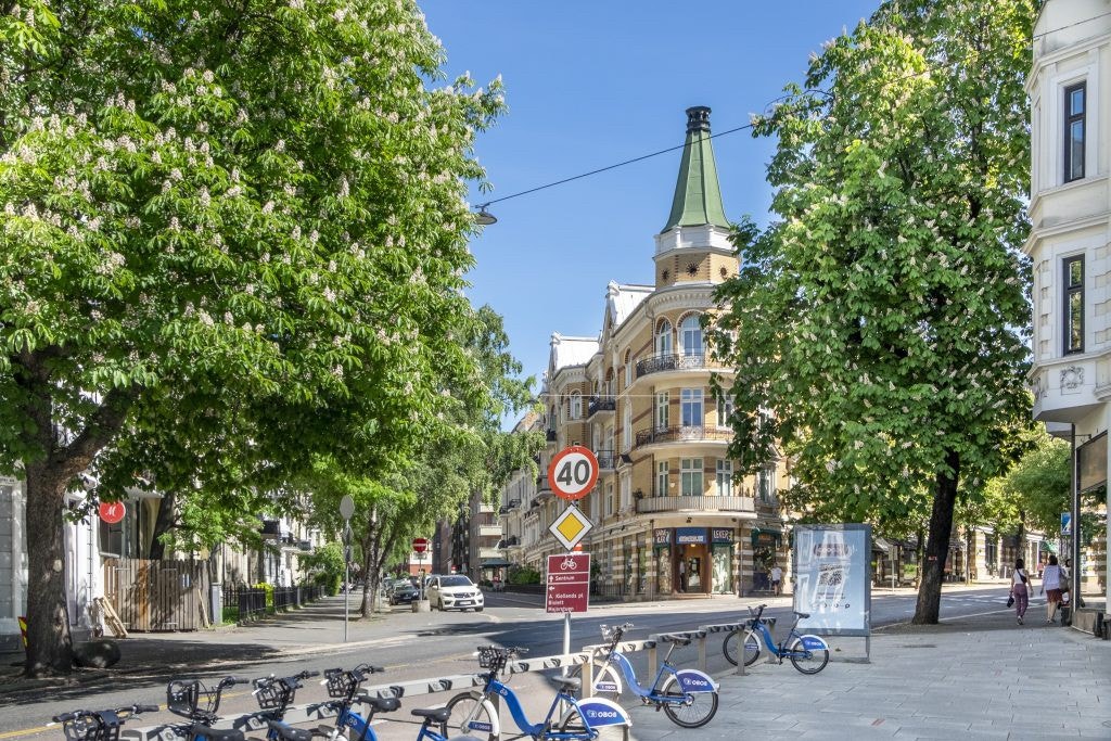 Når kastanjene blomstrer Galleribilde