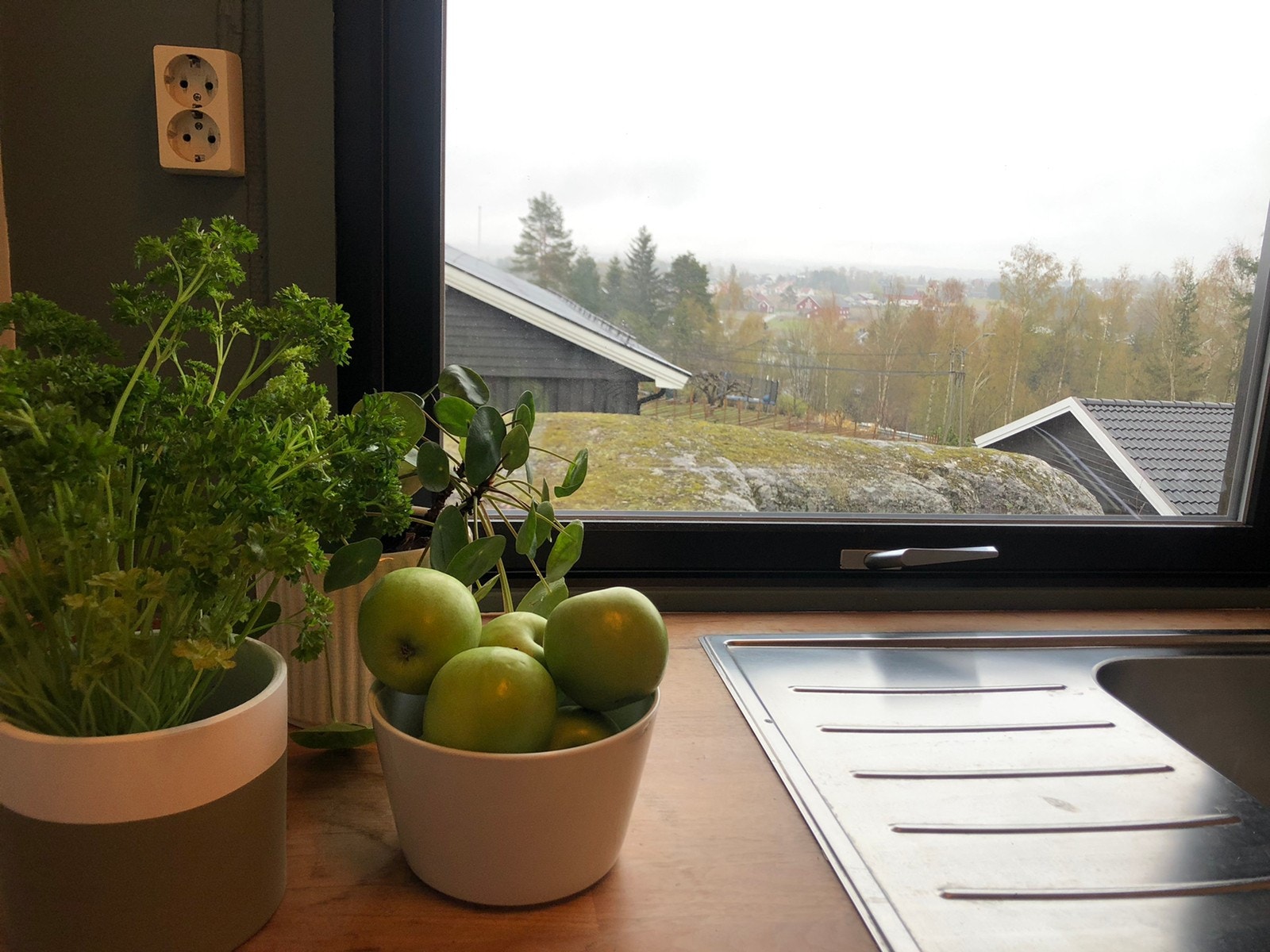 Utsikt fra kjøkkenvinduet Galleribilde