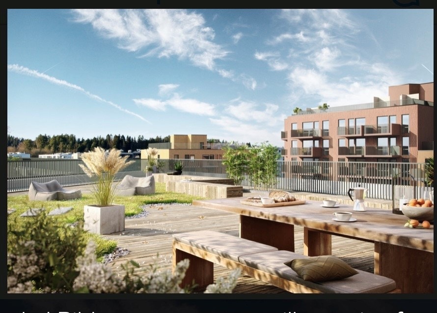 Felles takterrasse Galleribilde