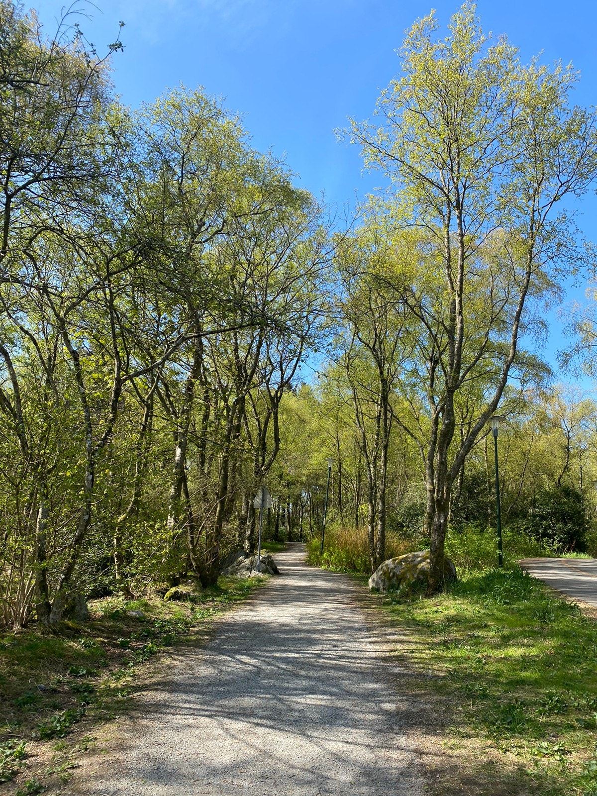 Gjennom turstien tar det 3 min til Vaulen badeplass. Galleribilde
