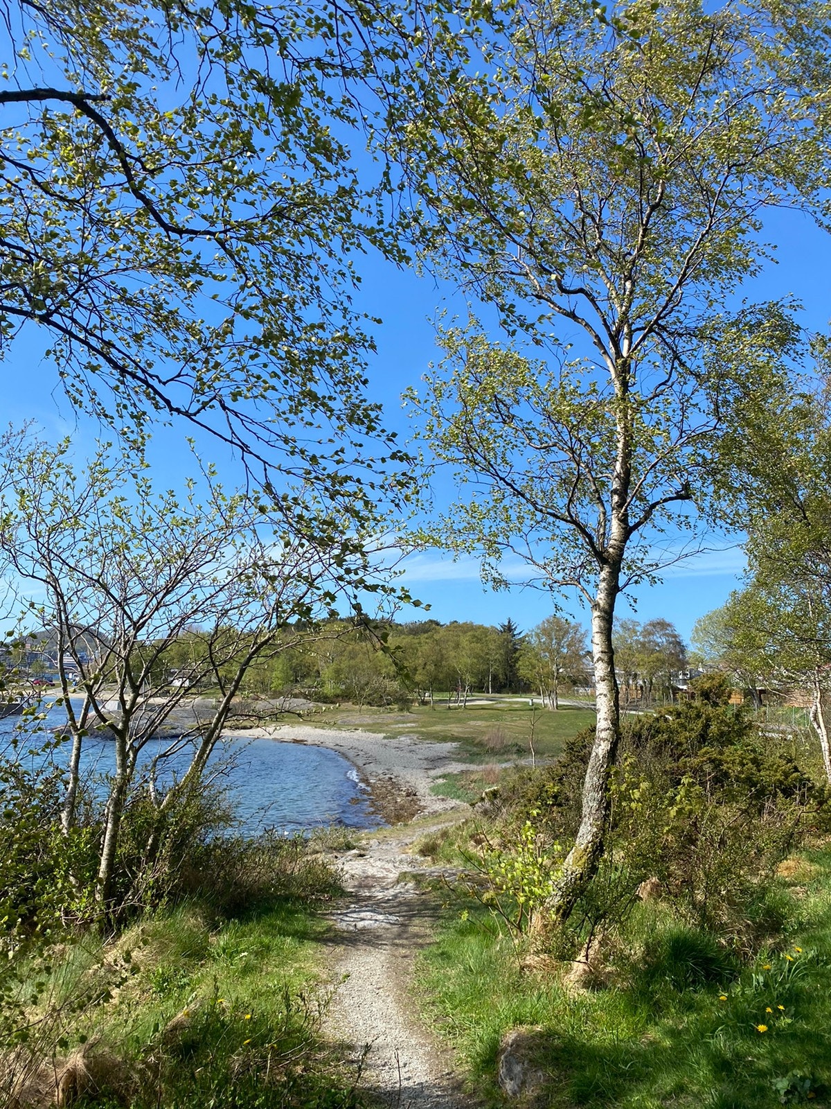 Vaulen badeplass Galleribilde