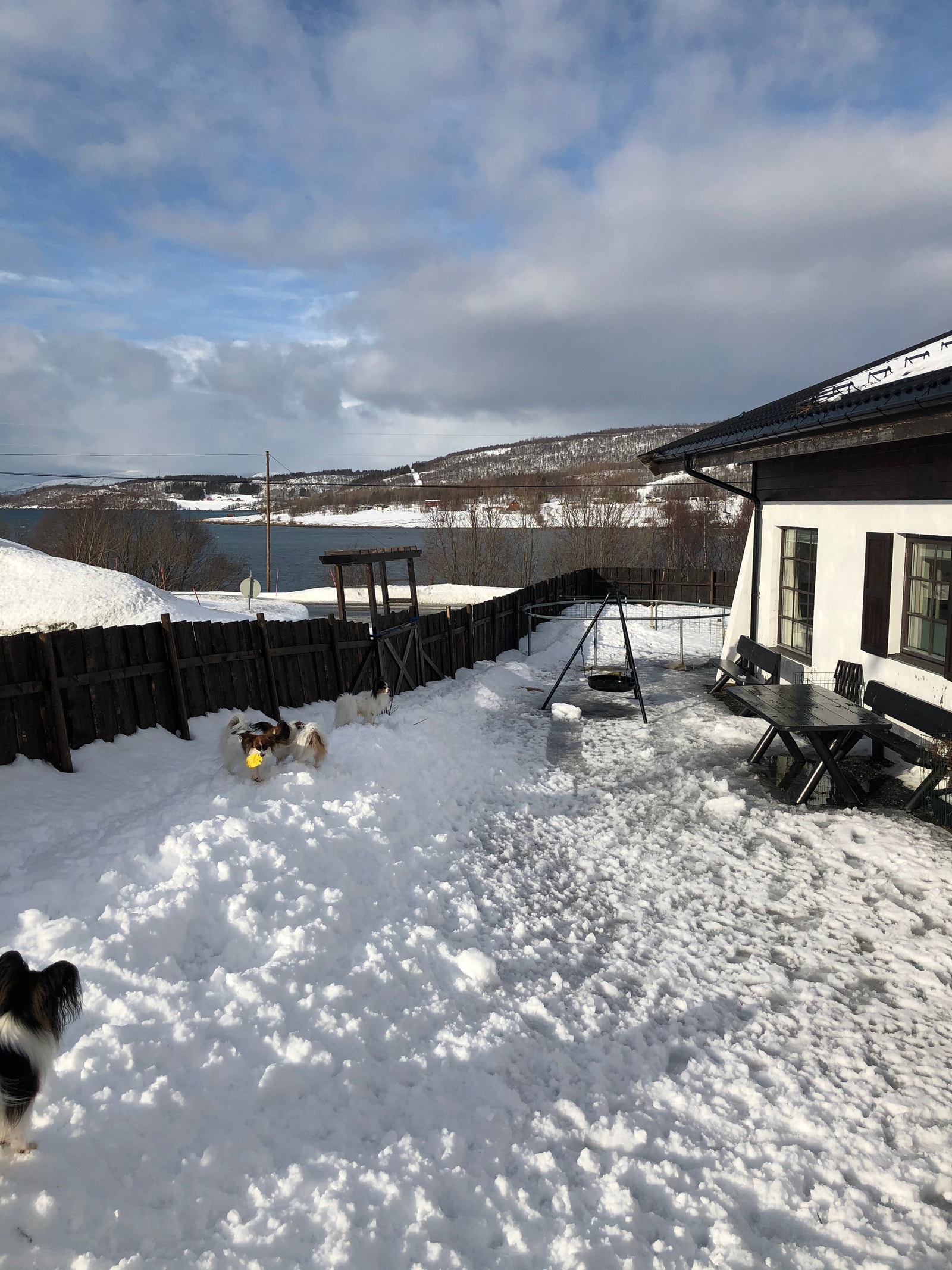 Hagen om vinteren Galleribilde