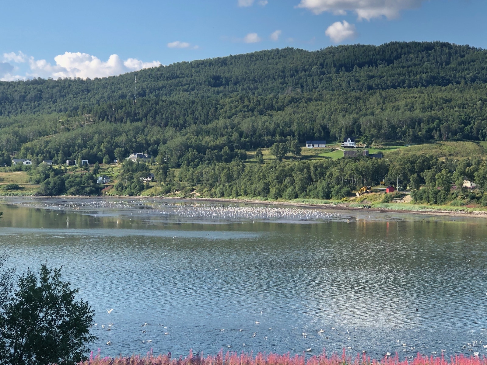 Utsikt mot havna Galleribilde