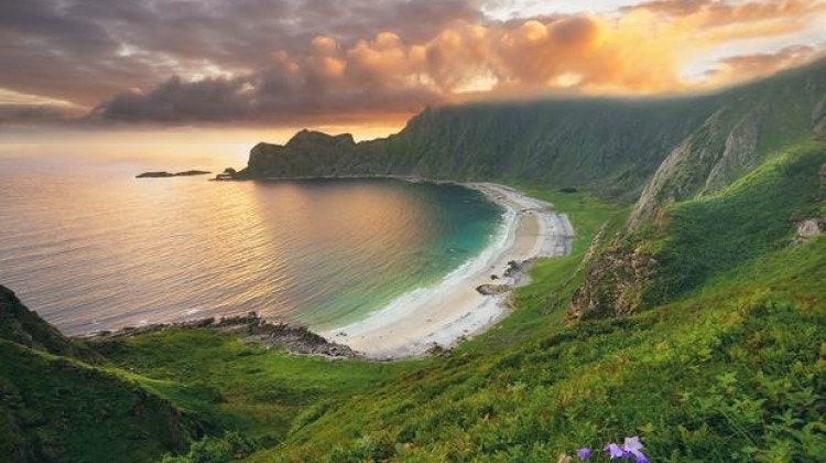 Ubebodde Høyvika i midnatt Galleribilde