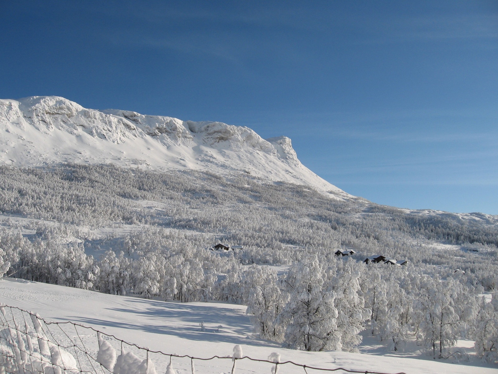 Grytehorgi en vinterdag. Galleribilde