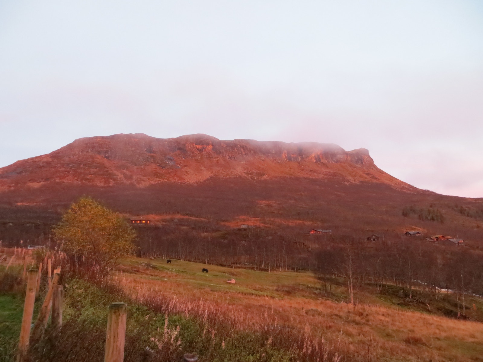 Grytehorgi i kveldssol. Galleribilde