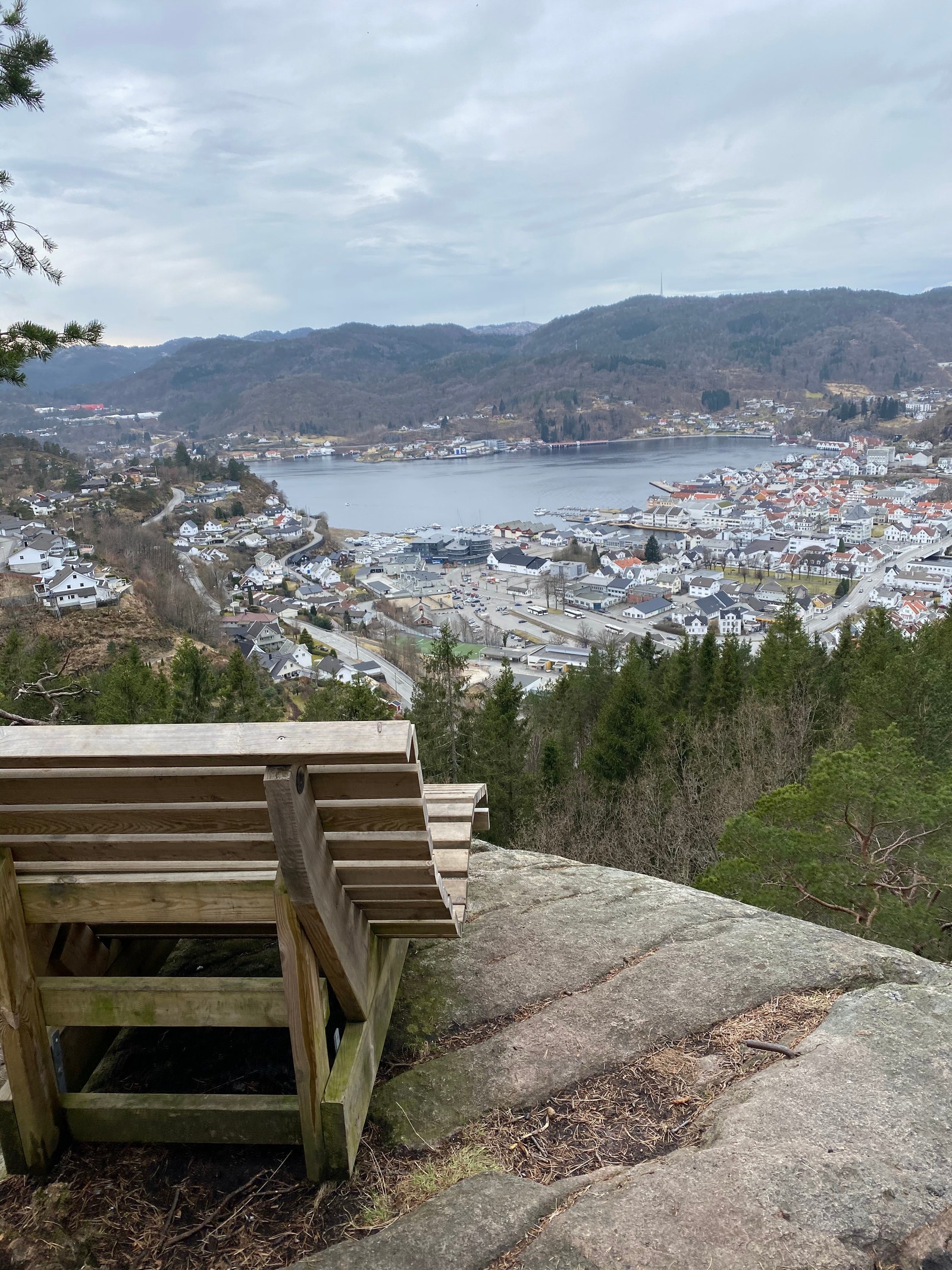 Byen sett fra Høgåsen Galleribilde