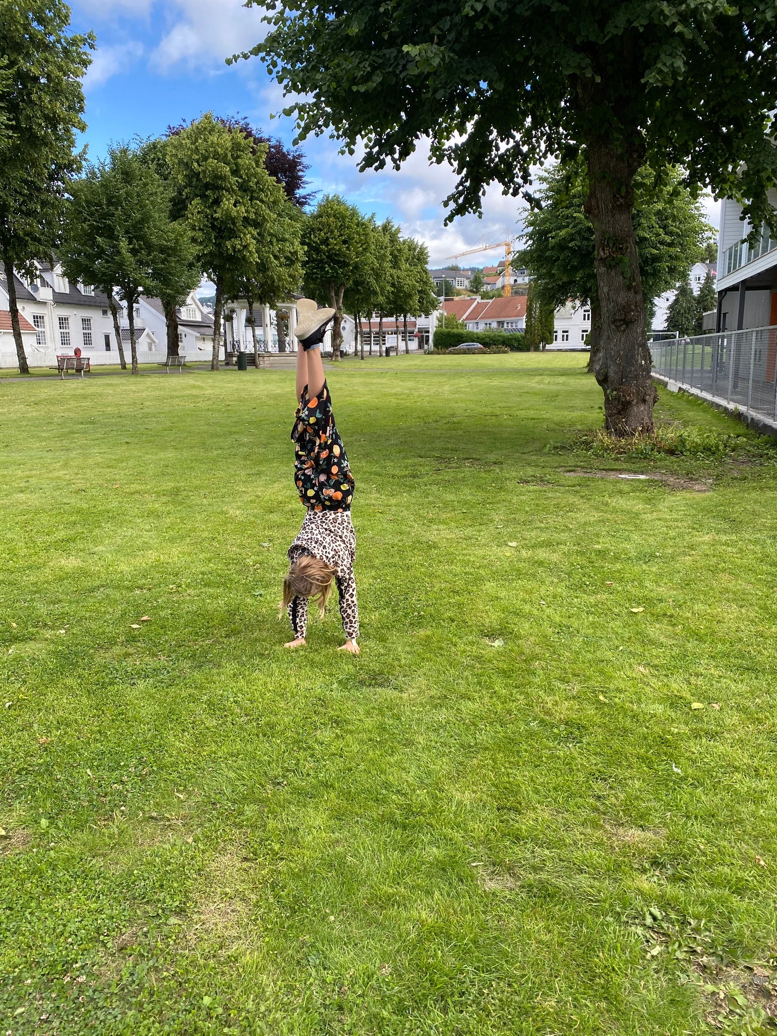 Parken rett utenfor huset Galleribilde