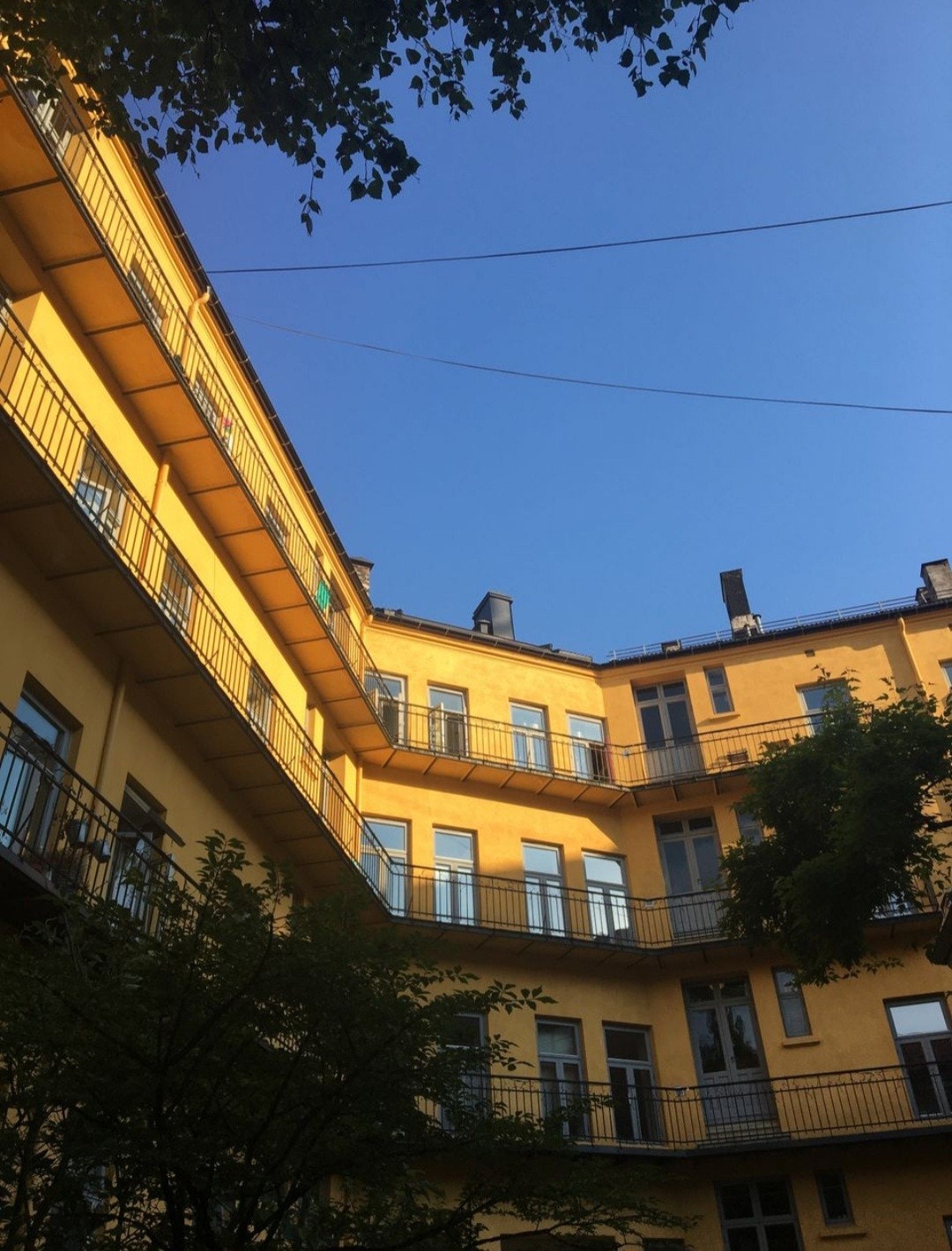 Backyard in the summer Galleribilde