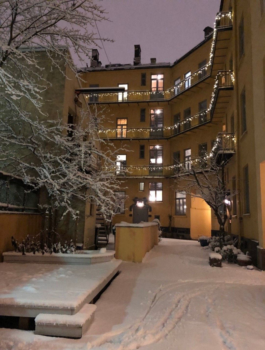 Backyard in the winter Galleribilde