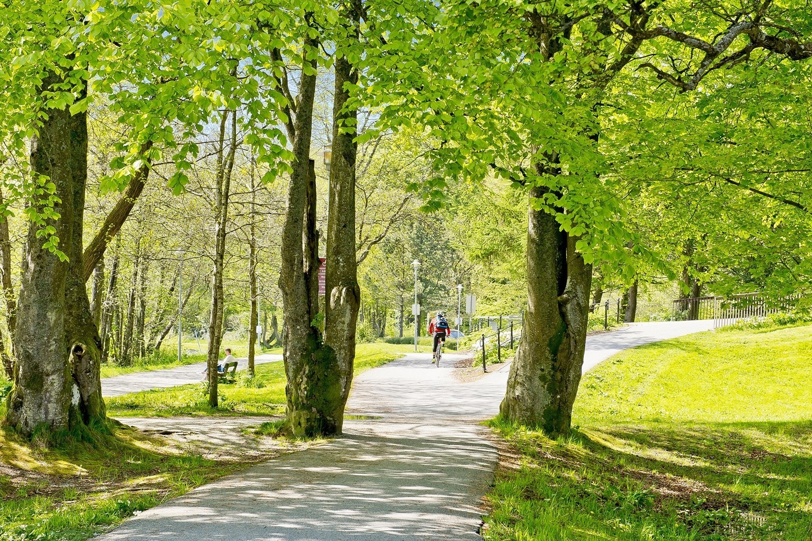 Nærområdet - Mosvannet Galleribilde