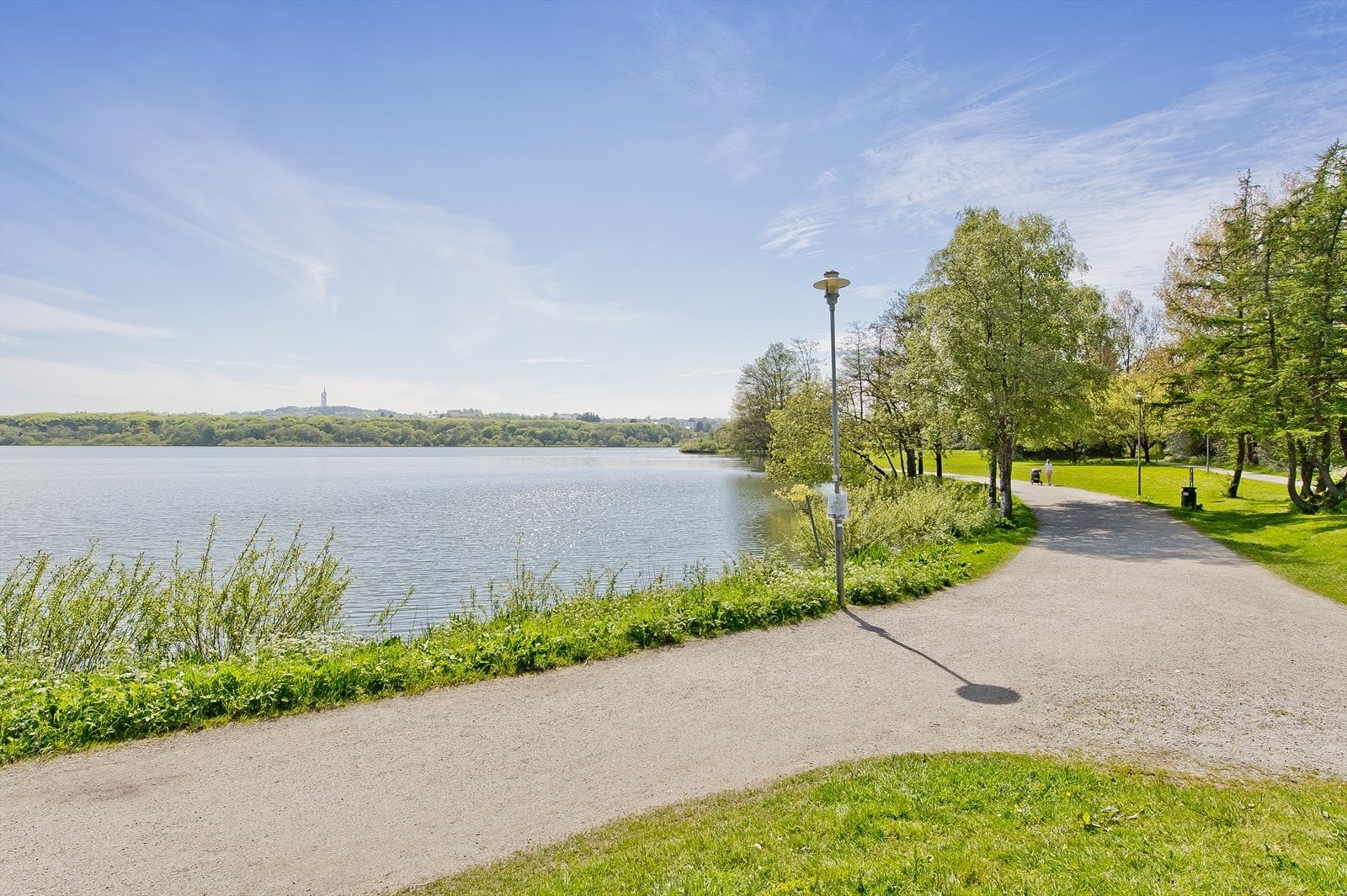 Nærområdet - Mosvannet Galleribilde