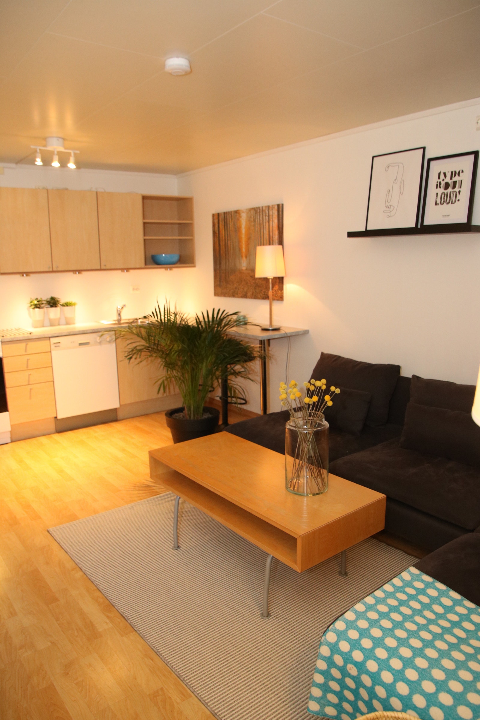 Stue/kjøkken Galleribilde