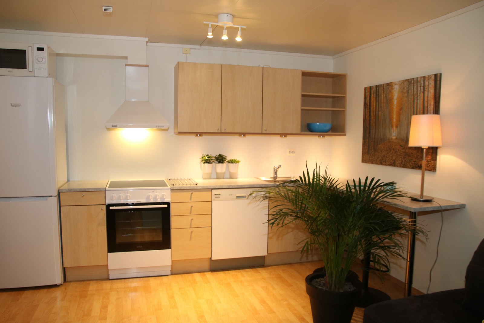 Kjøkken Galleribilde