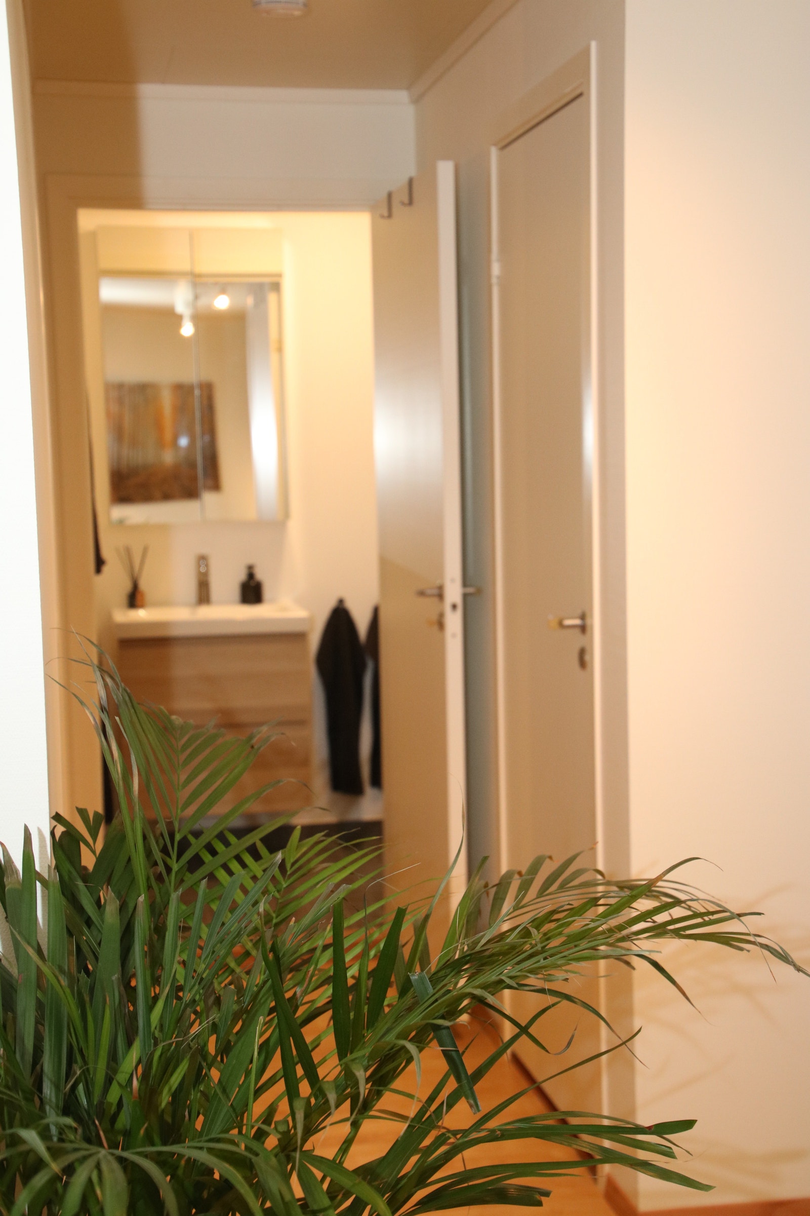 Fra stue mot gang soverom og bad Galleribilde