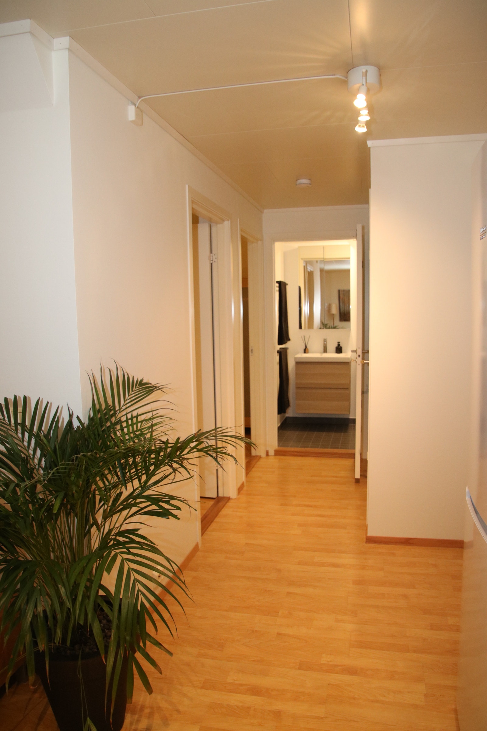 Fra stue mot gang soverom og bad Galleribilde