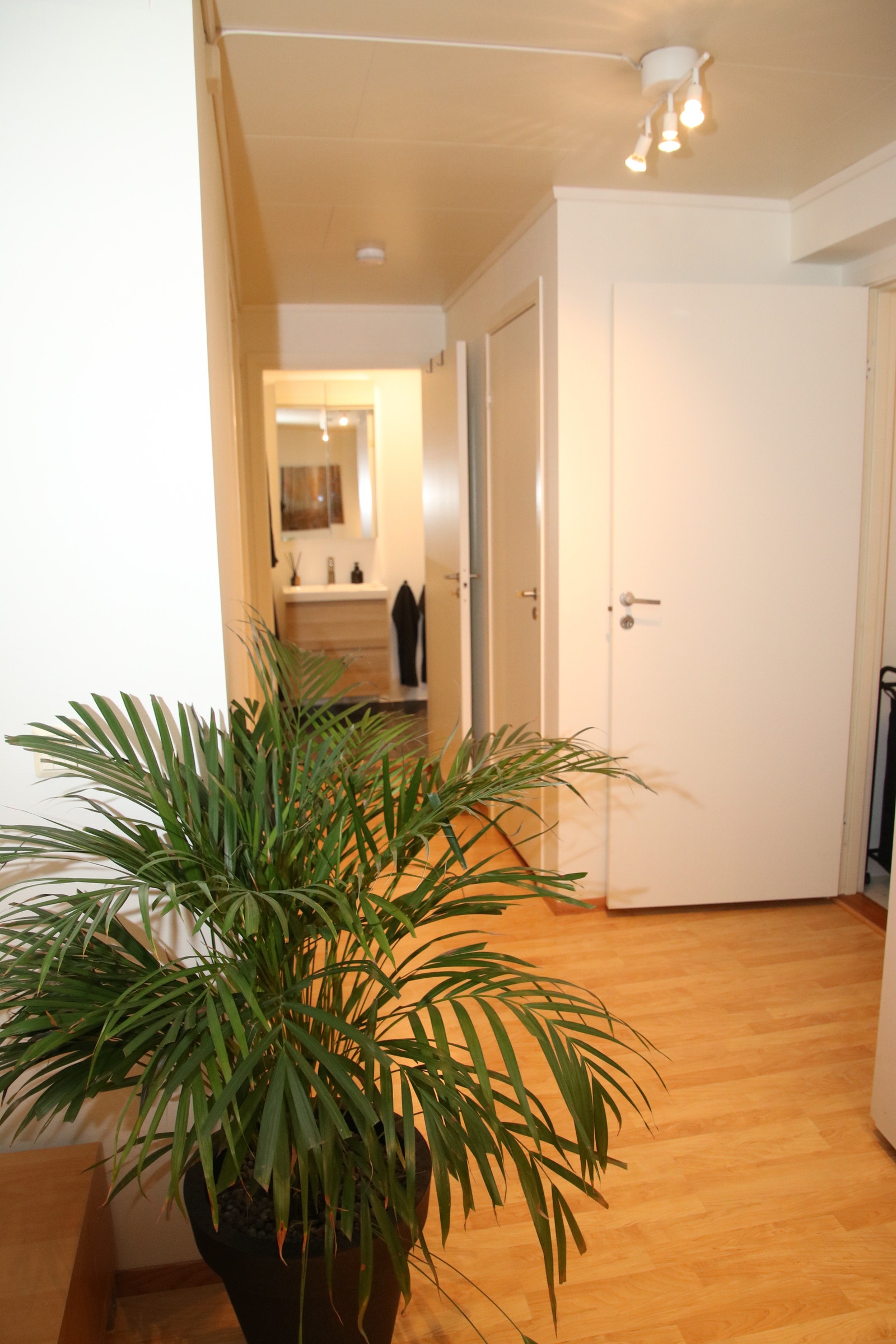 Fra stue mot gang soverom og bad. Vaskerom til høyre. Galleribilde