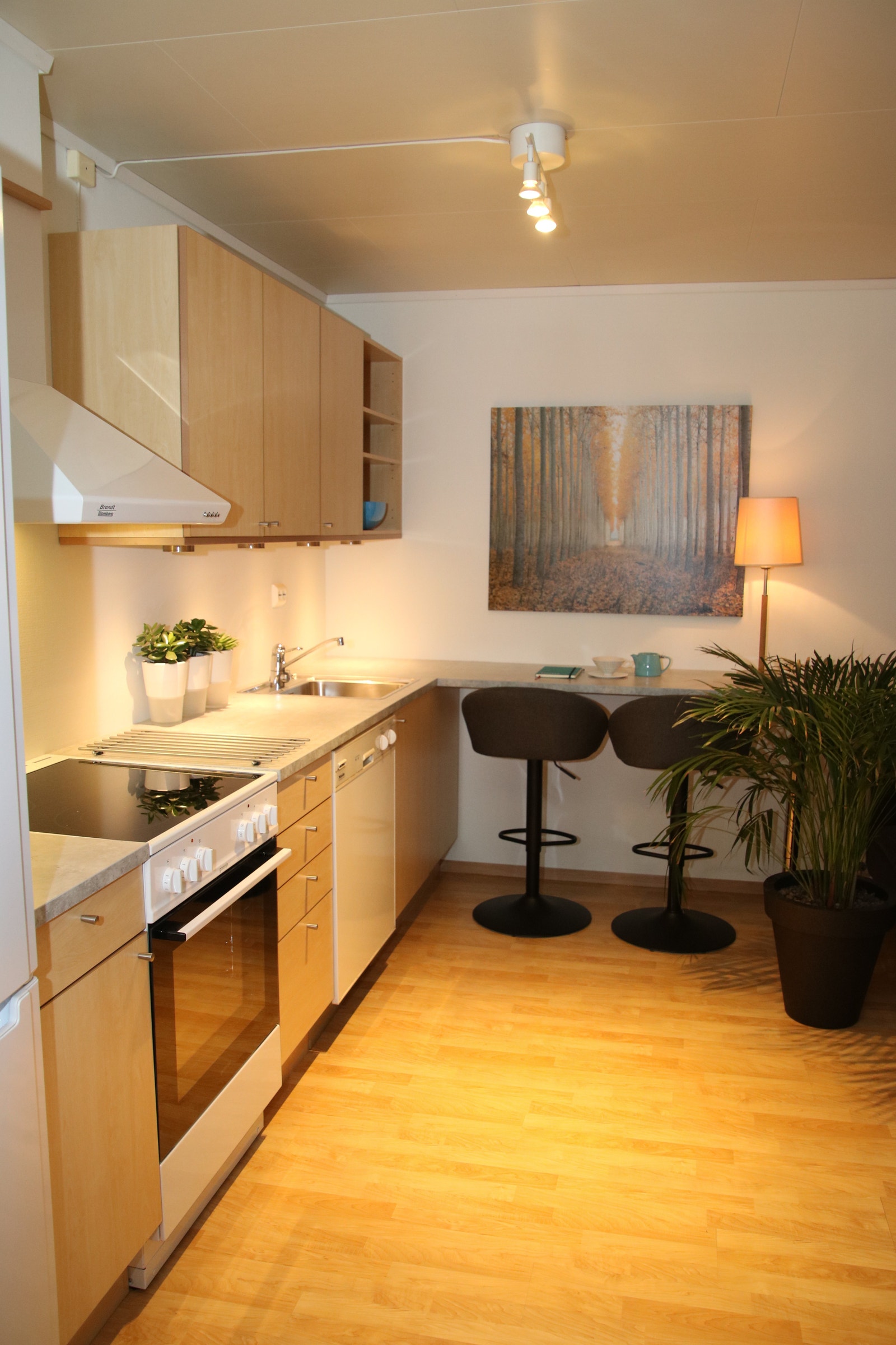 Spiseplass for to Galleribilde