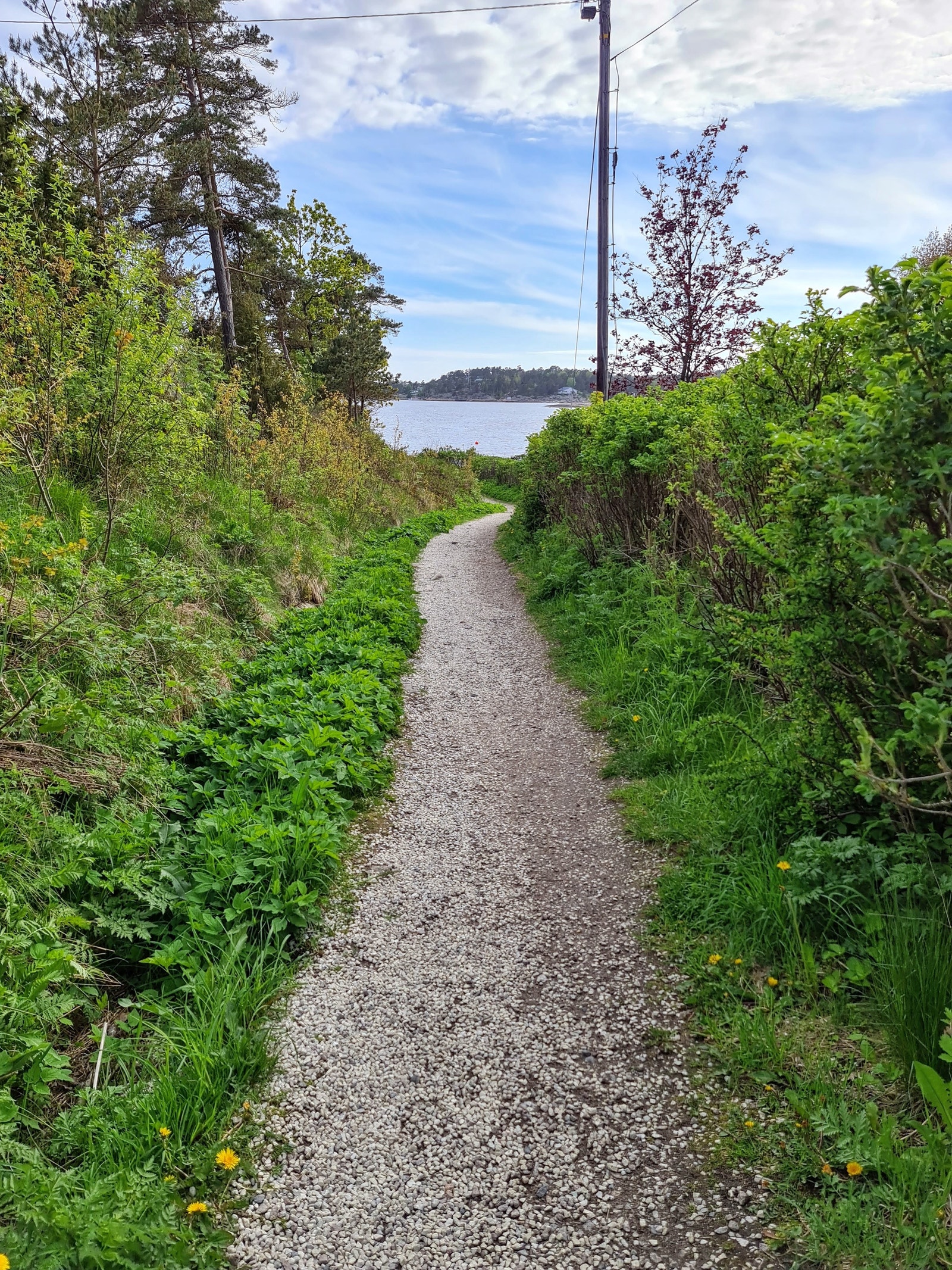 Sti til strand/svaberg Galleribilde
