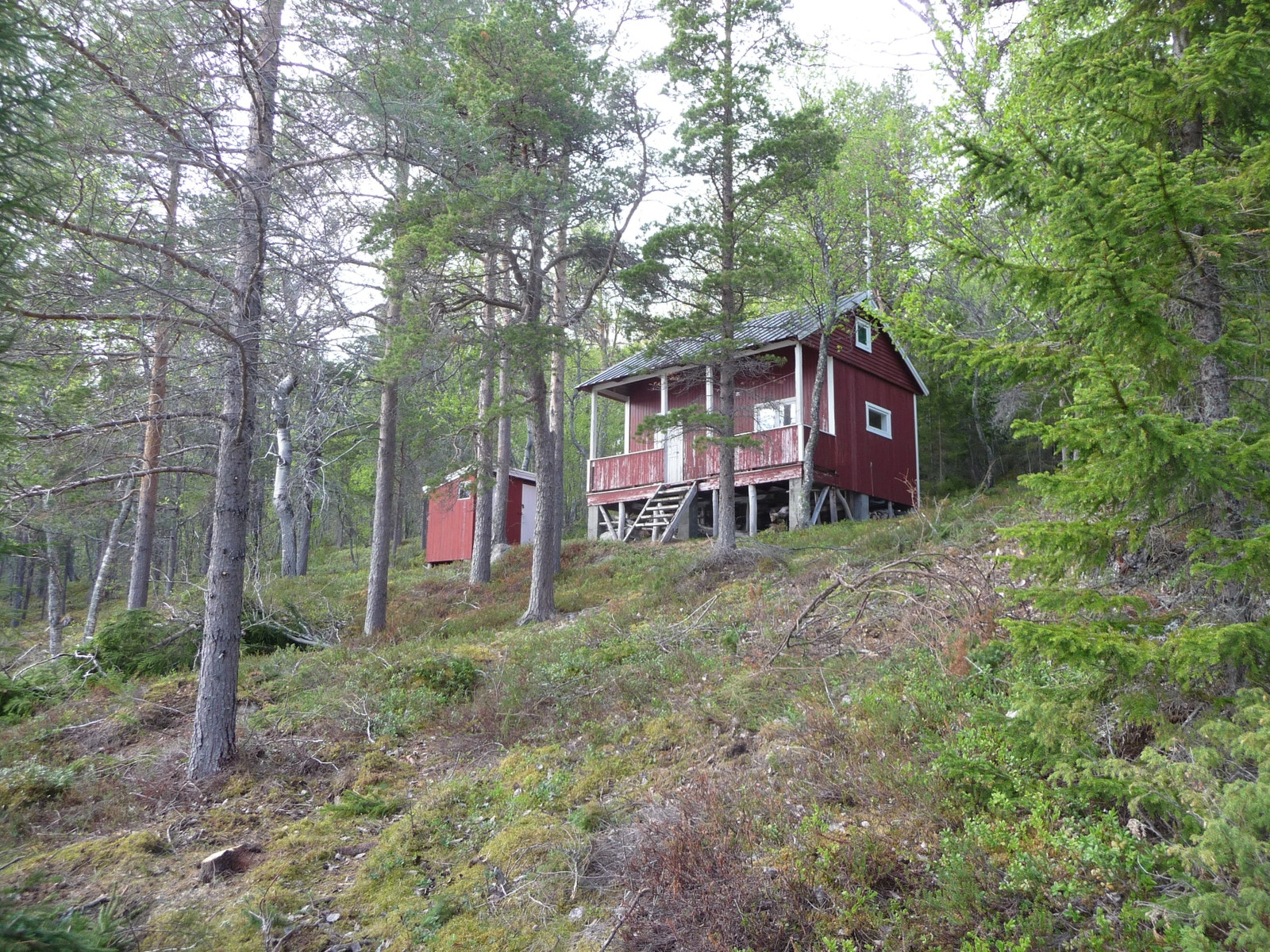 Hytte fra forsiden Galleribilde