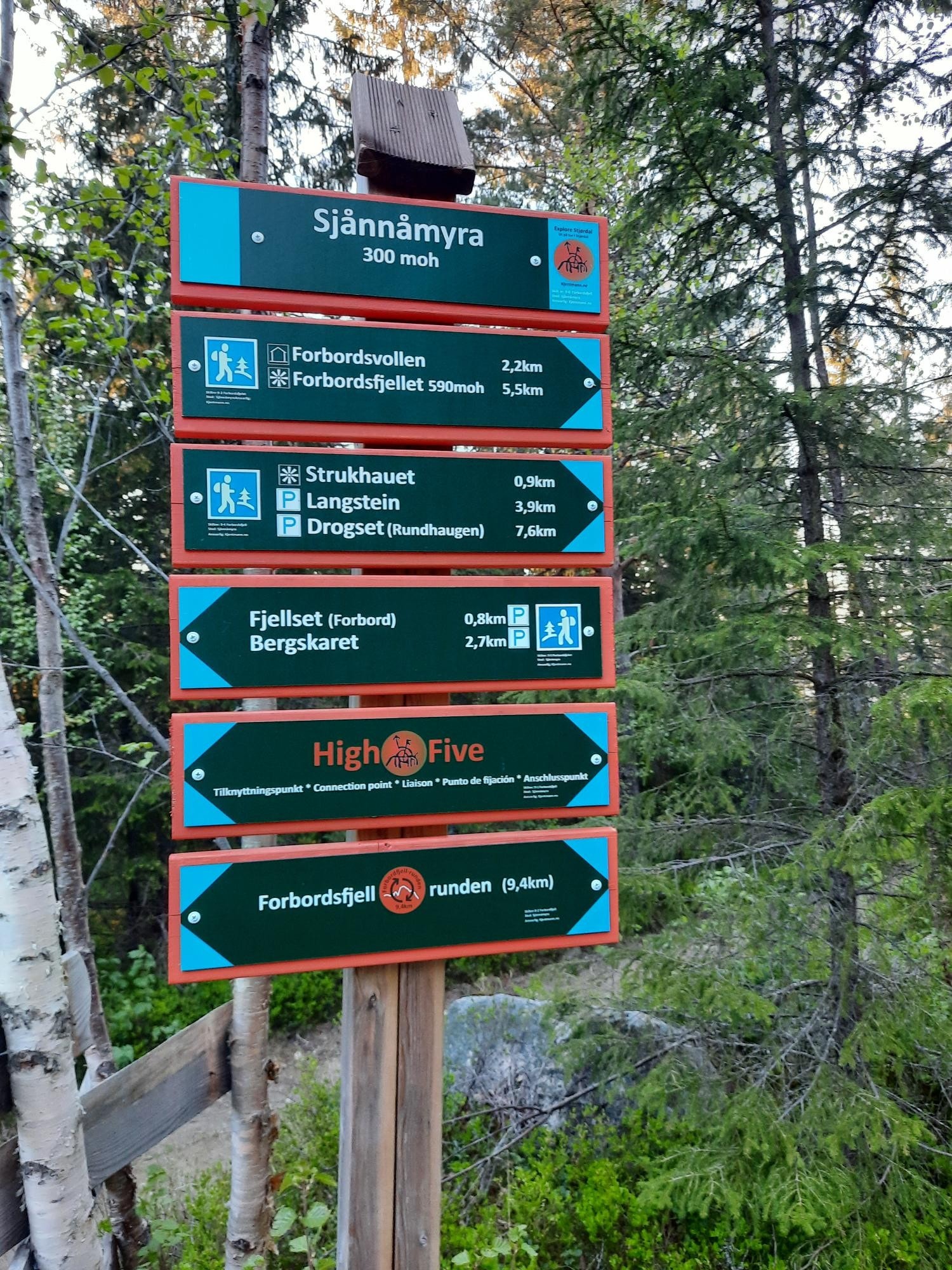 Turløyper i gangavstand fra leiligheten Galleribilde