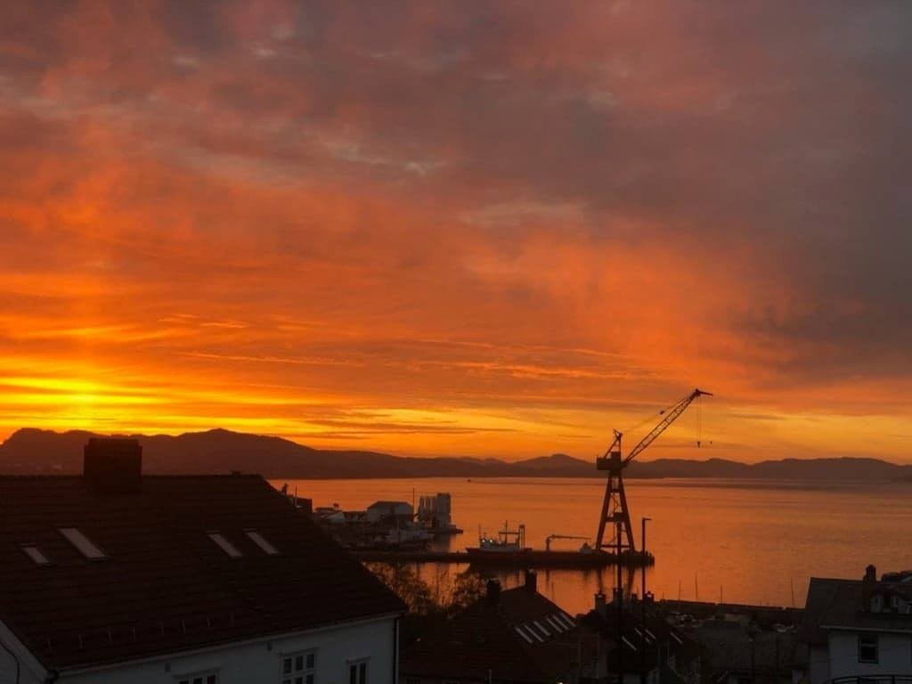 Utsikt over byfjorden Galleribilde