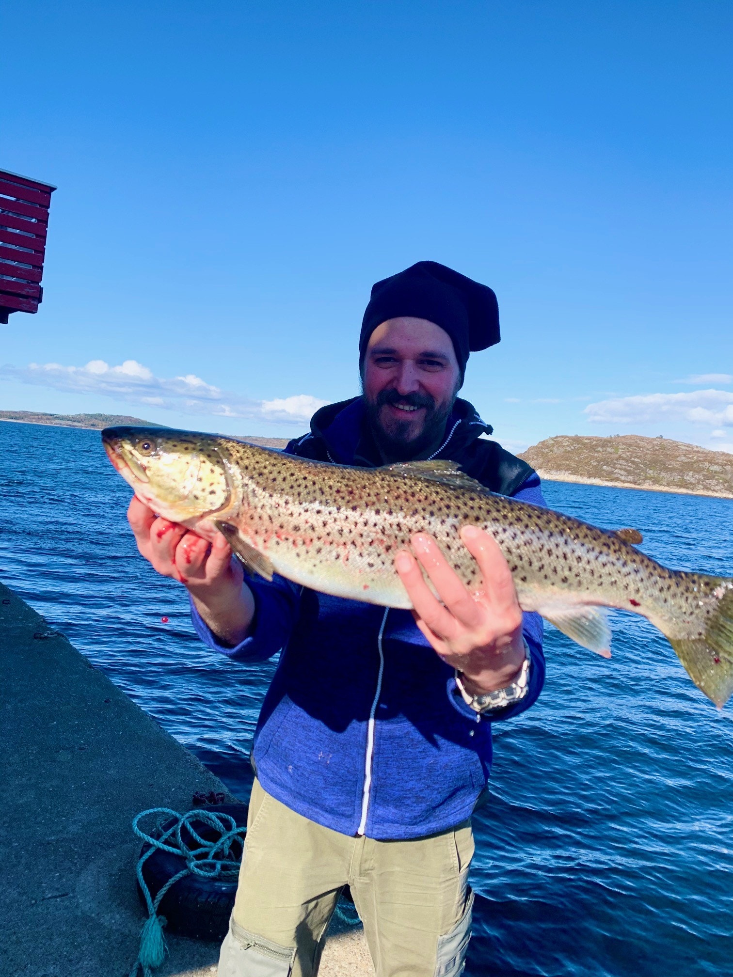 Fisk rett fra brygga! Vi har eget fiskekjøkken og krabbekoker Galleribilde