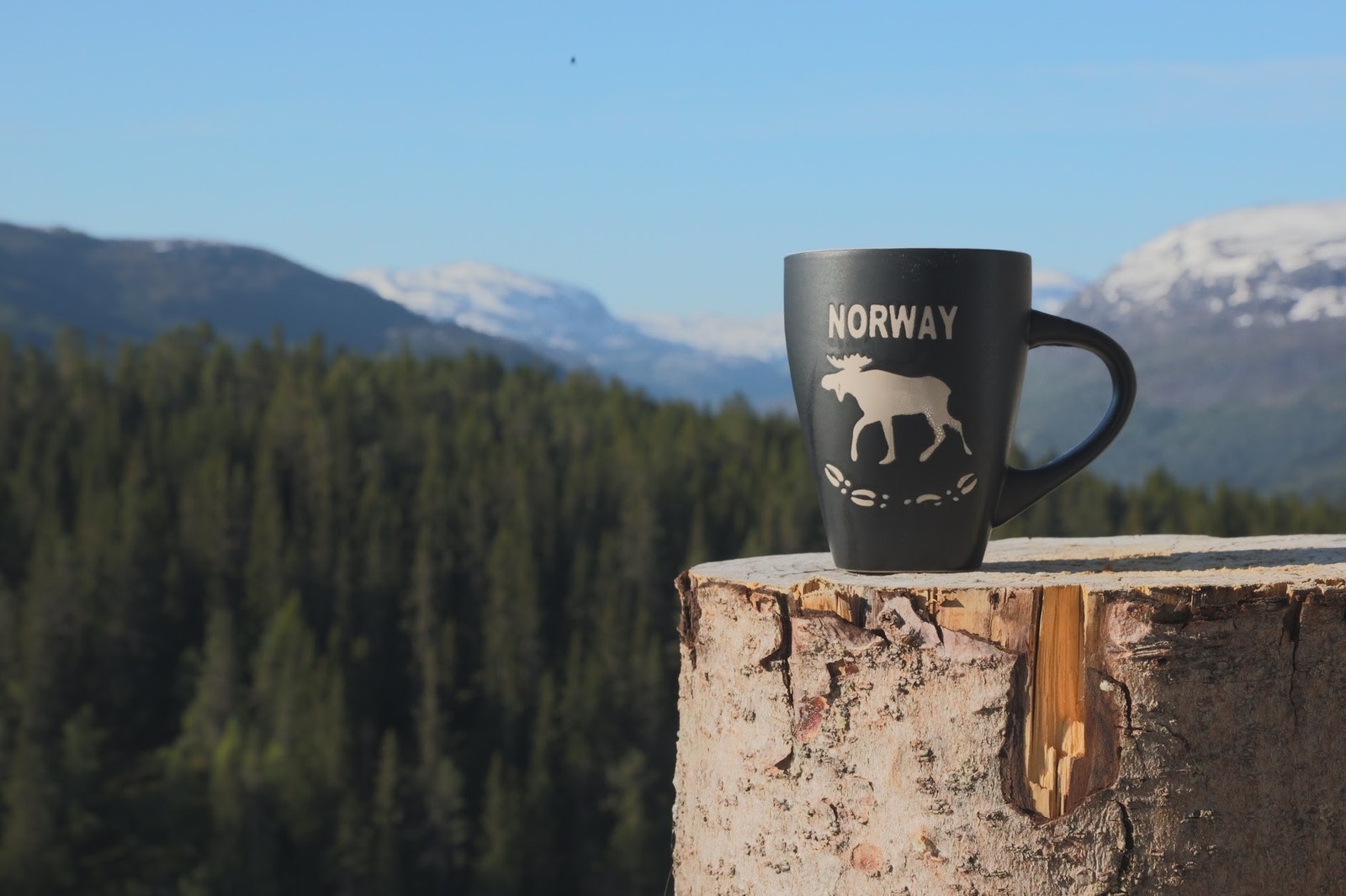 Morgenkaffe i solveggen? Galleribilde