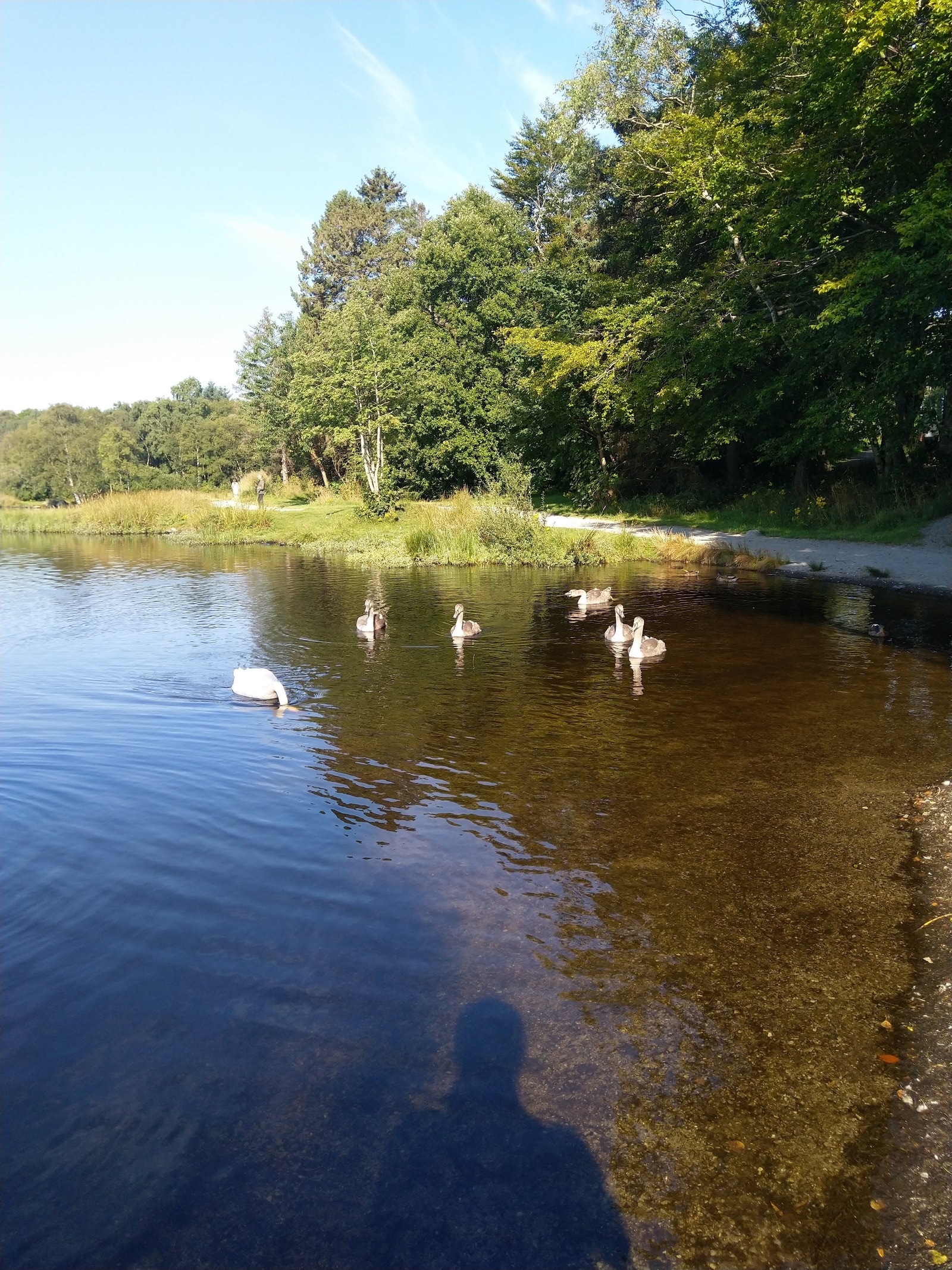 Nærområde Vannassen Galleribilde