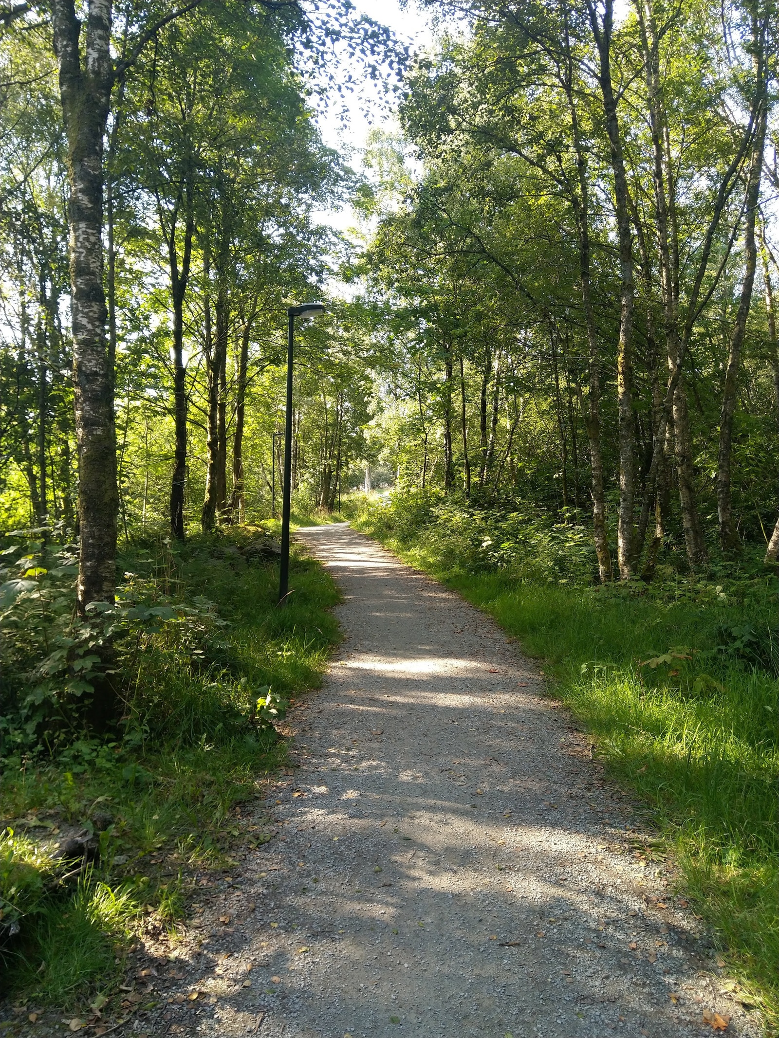 Nærområde Vannassen Galleribilde