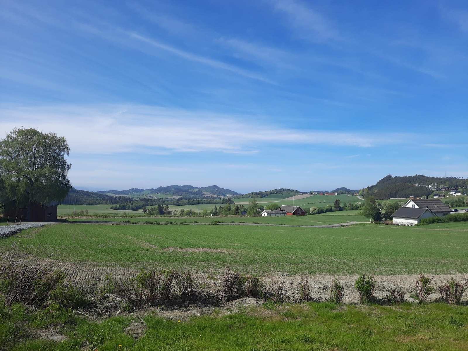 Utsikten mot Trondheim fra stue soverom og terrasse. Galleribilde