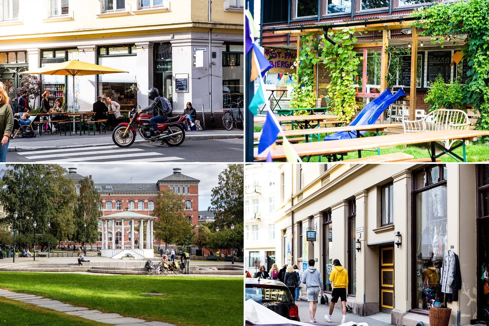 Nærområdet. Galleribilde