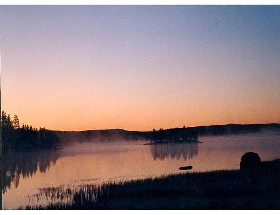 Finnskogen . spenningens grenseland Galleribilde
