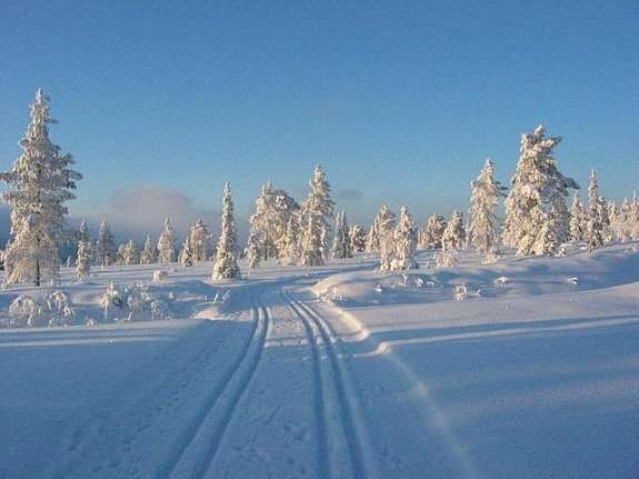 Skiløyper fra hytta Galleribilde