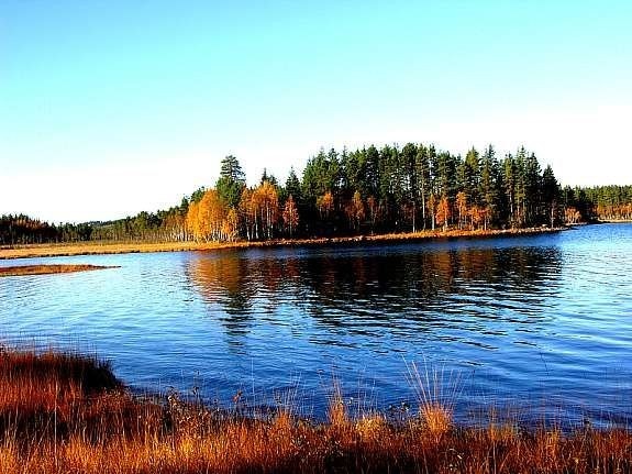 Høstfarger ved Rotbergssjøen Galleribilde