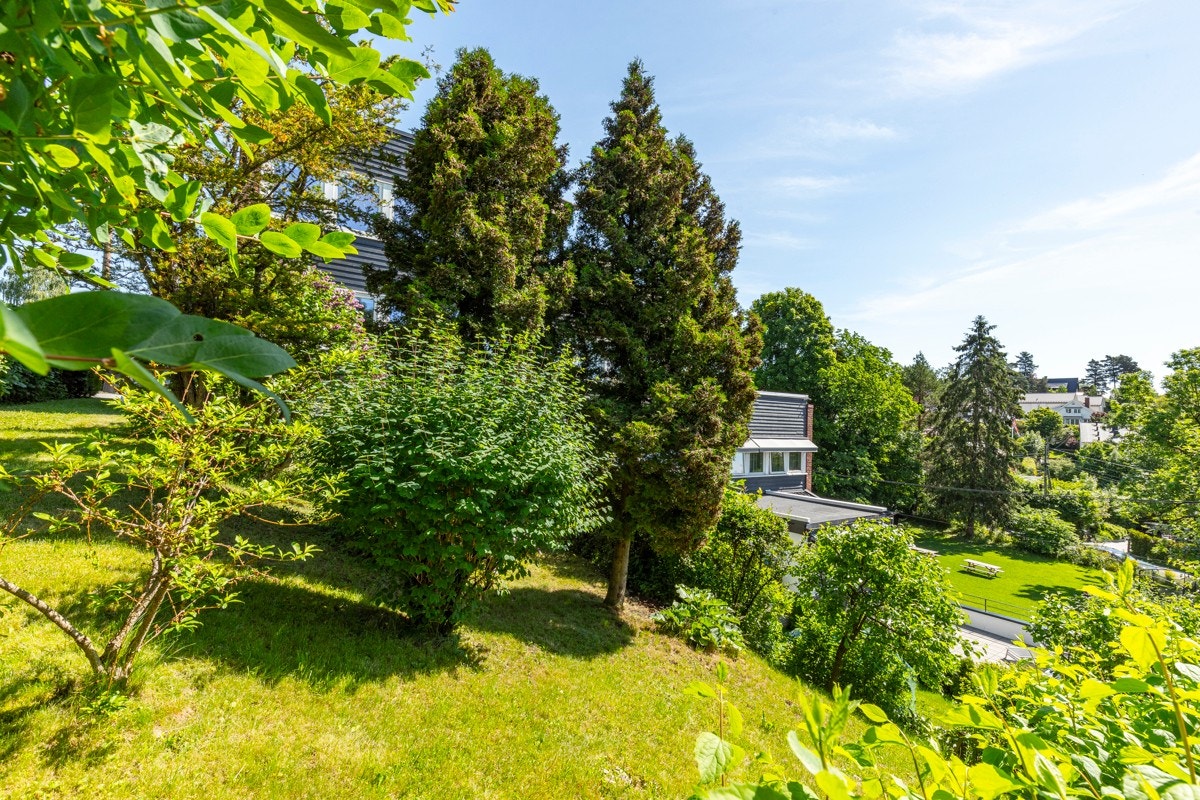 Skrånende hage. Galleribilde