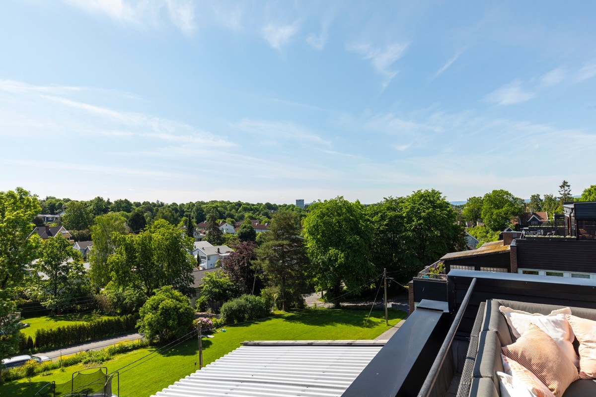 Fri utsikt over fellesarealer og nærområdet. Grønt og frodig. Galleribilde