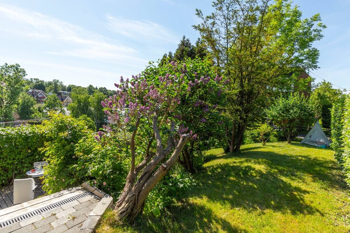 Pen opparbeidet hage med blant annet syriner, busker, barlind og sypress. Hekk mot veien. Galleribilde