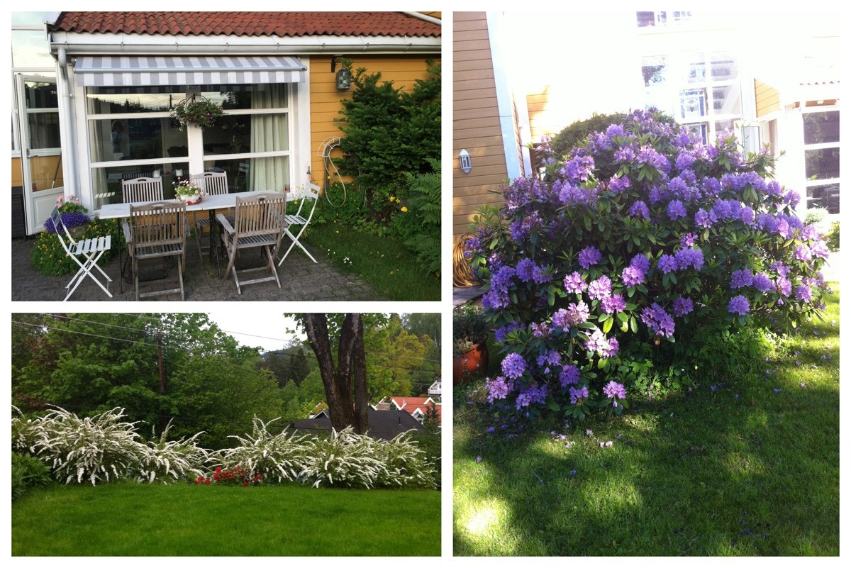 Idyll i egen have Galleribilde