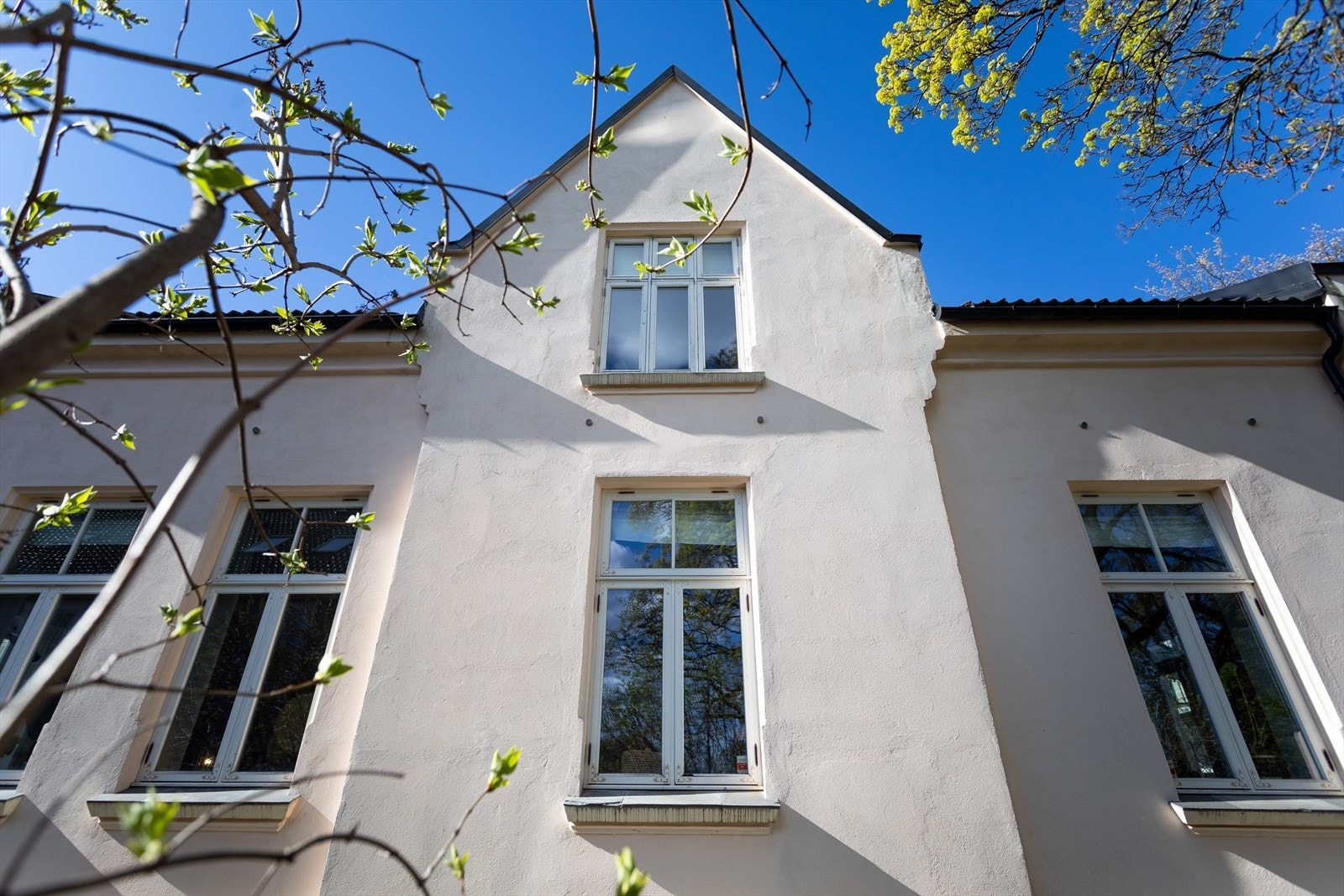 Fasade. Galleribilde