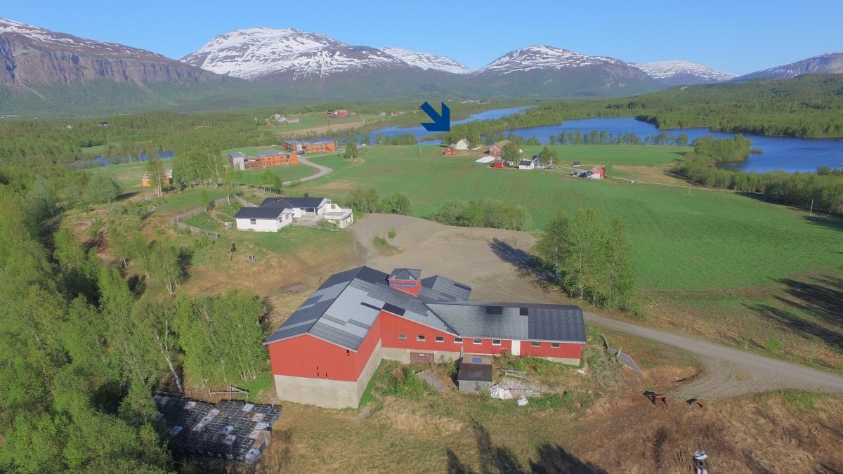 Området