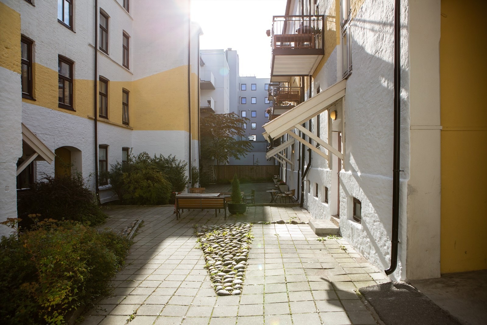 Bakgård Galleribilde