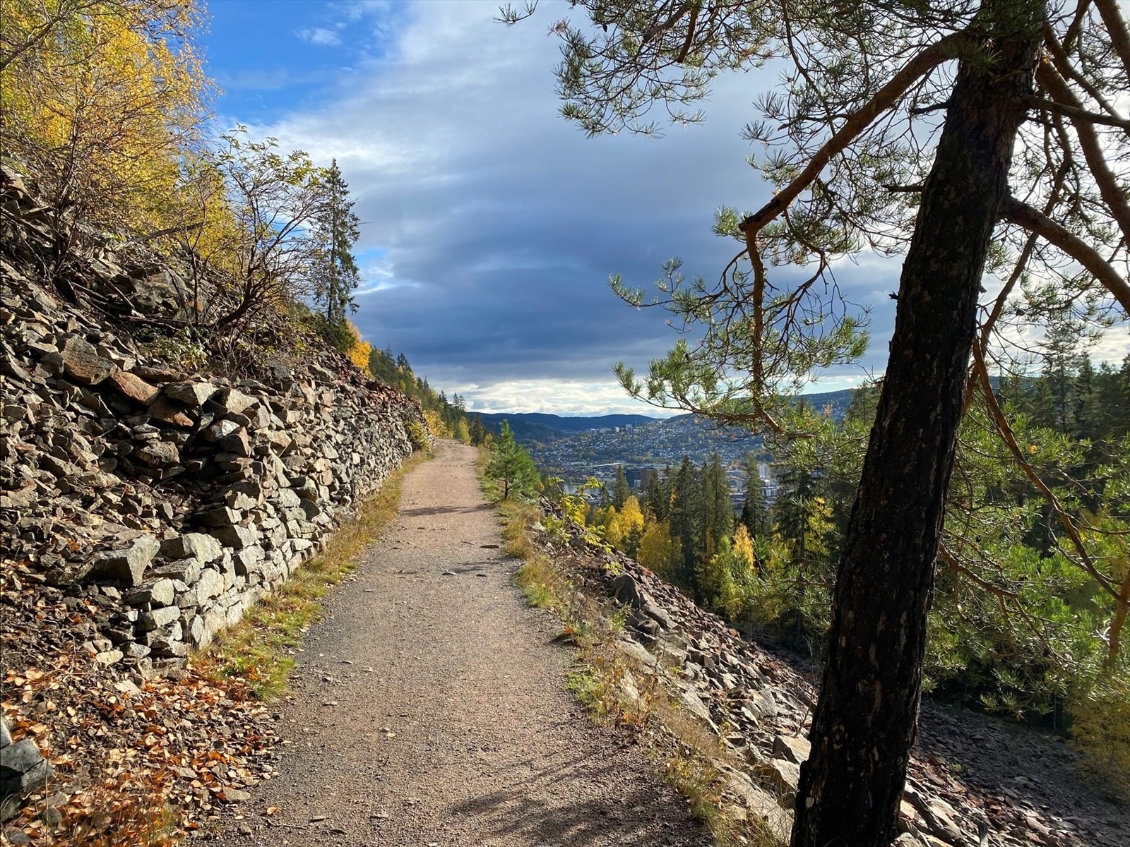 Flotte turmuligheter i marka bak boligen Galleribilde