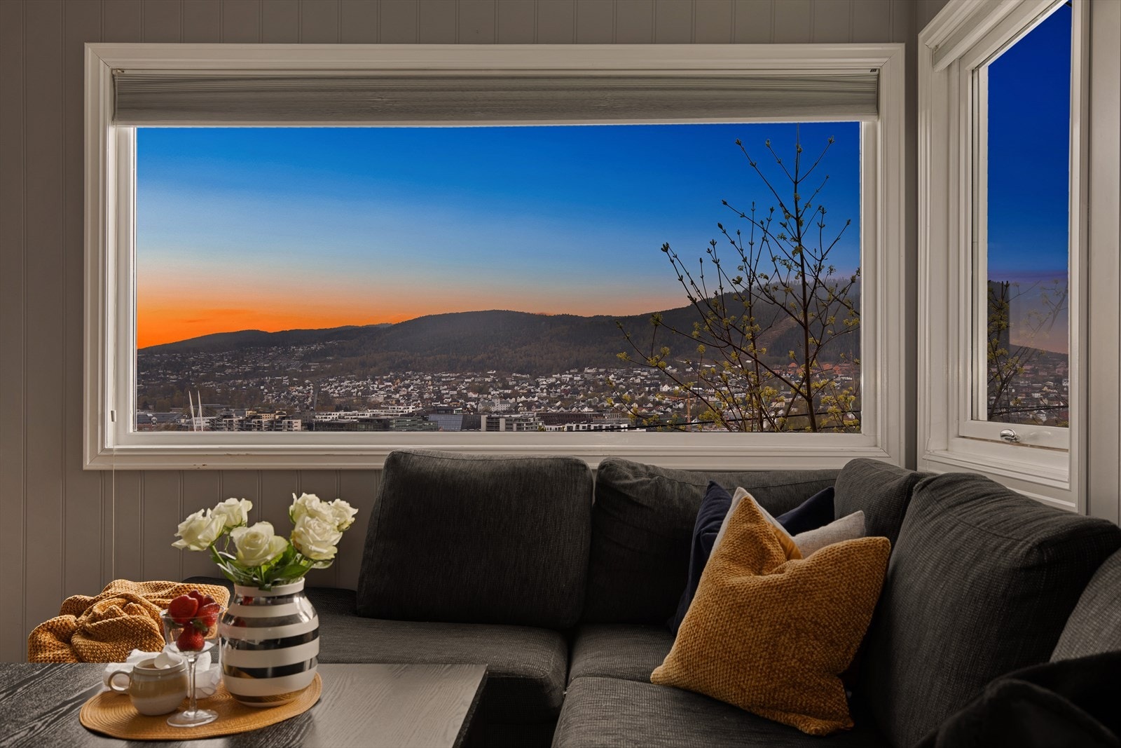Fra sofakroken er det flott utsikt ut over Drammen Galleribilde