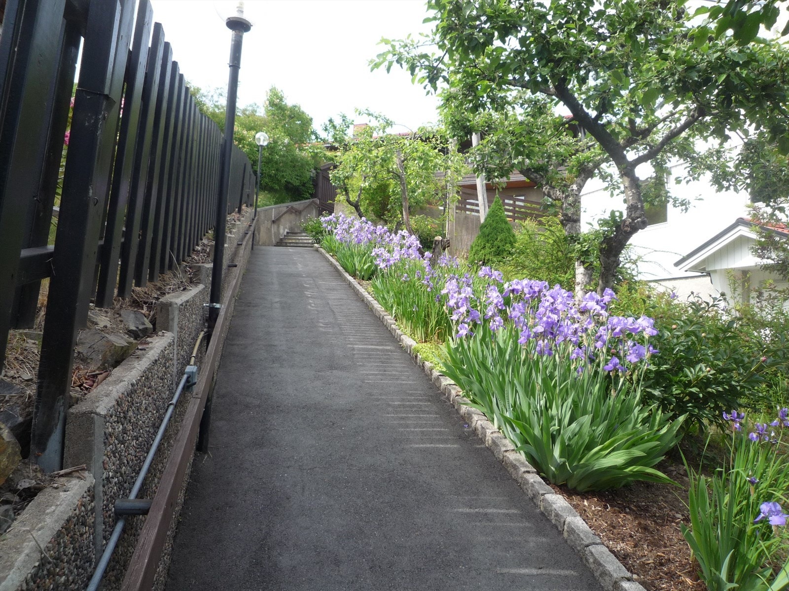 Gangveien er godt opplyst og pent beplantet med bl.a. iris og frukttrær. Det er varmekabler under asfalten. Galleribilde