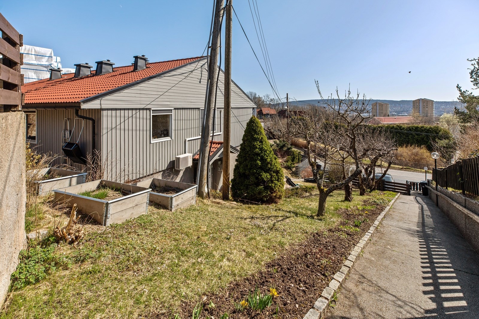 Plomme- og epletrærne tilhører eiendommen Galleribilde