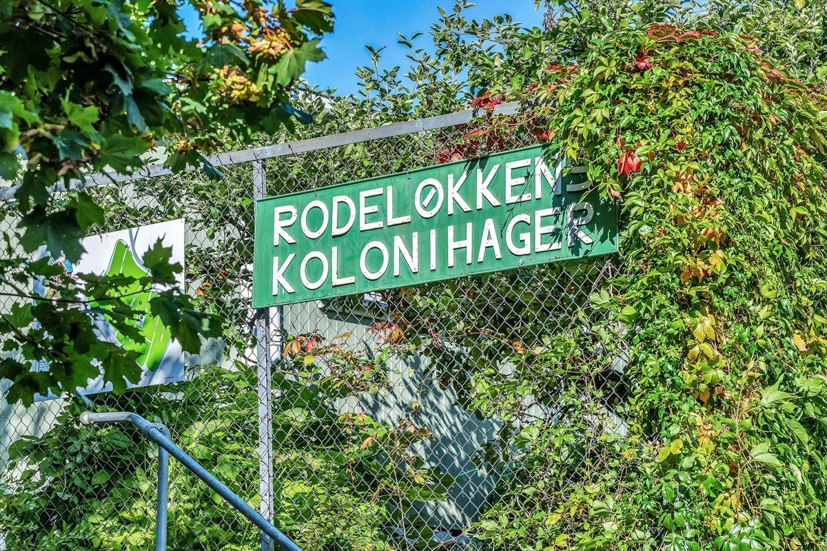 Rodeløkkens Kolonihage er innen gangavstand. Galleribilde