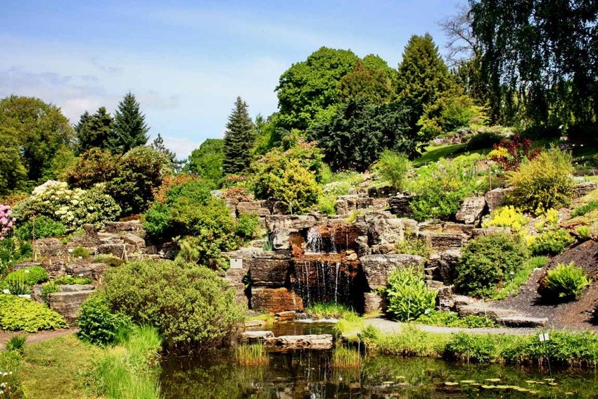 Botanisk hage Galleribilde