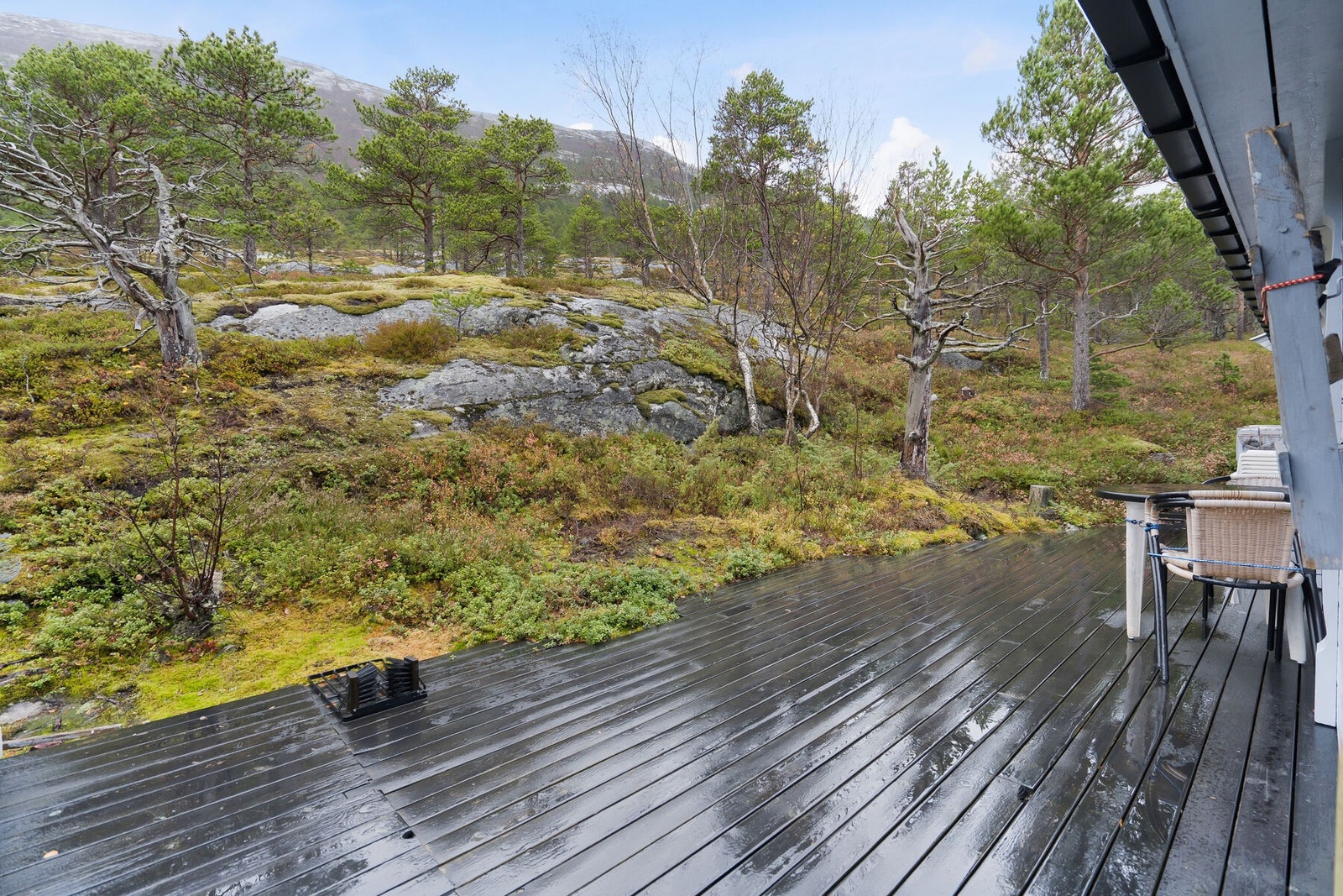 Utendørs 4 Galleribilde